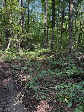 25 Acres of Recreational & Residential Land for Sale in Andover, Ohio