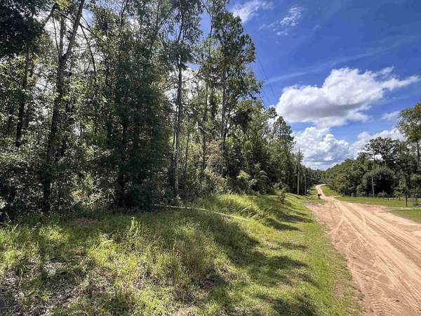 5 Acres of Land for Sale in Madison, Florida