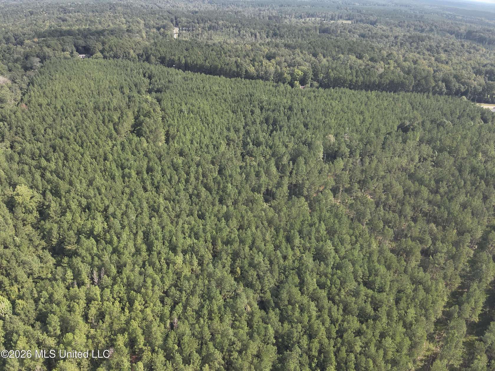 10 Acres of Recreational & Residential Land for Sale in Oak Vale, Mississippi