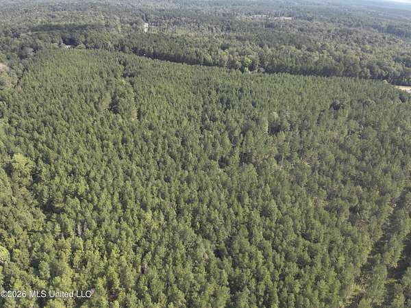 10 Acres of Recreational & Residential Land for Sale in Oak Vale, Mississippi