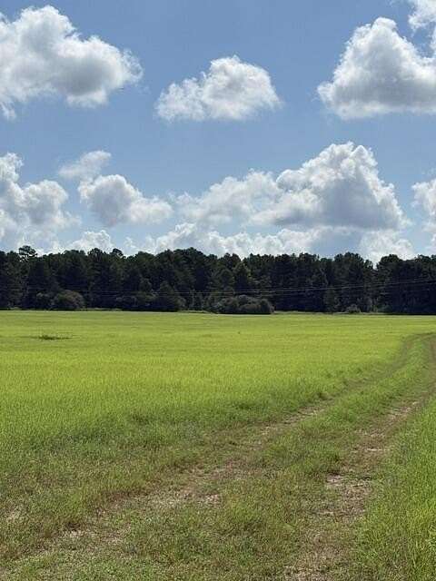 50 Acres of Land for Sale in Palestine, Texas