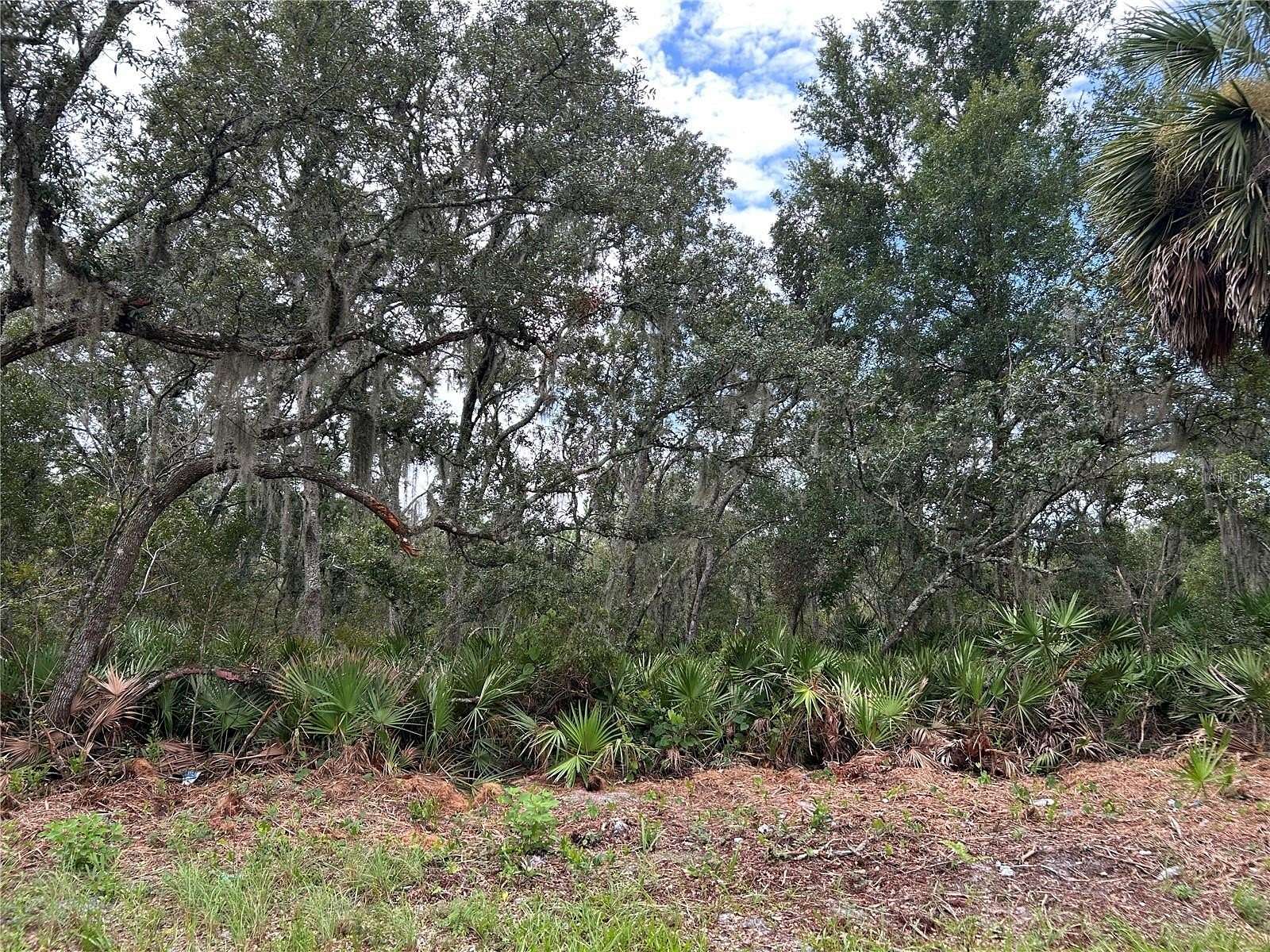 2.58 Acres of Land for Sale in Pierson, Florida