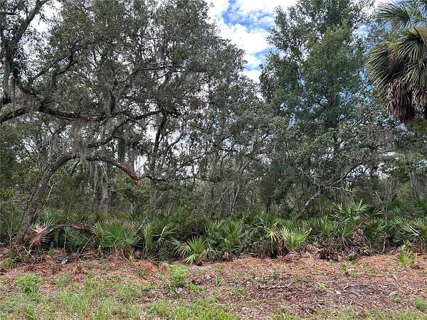 2.58 Acres of Land for Sale in Pierson, Florida
