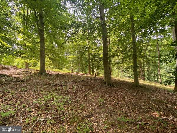 2.59 Acres of Land for Sale in Fort Washington, Maryland