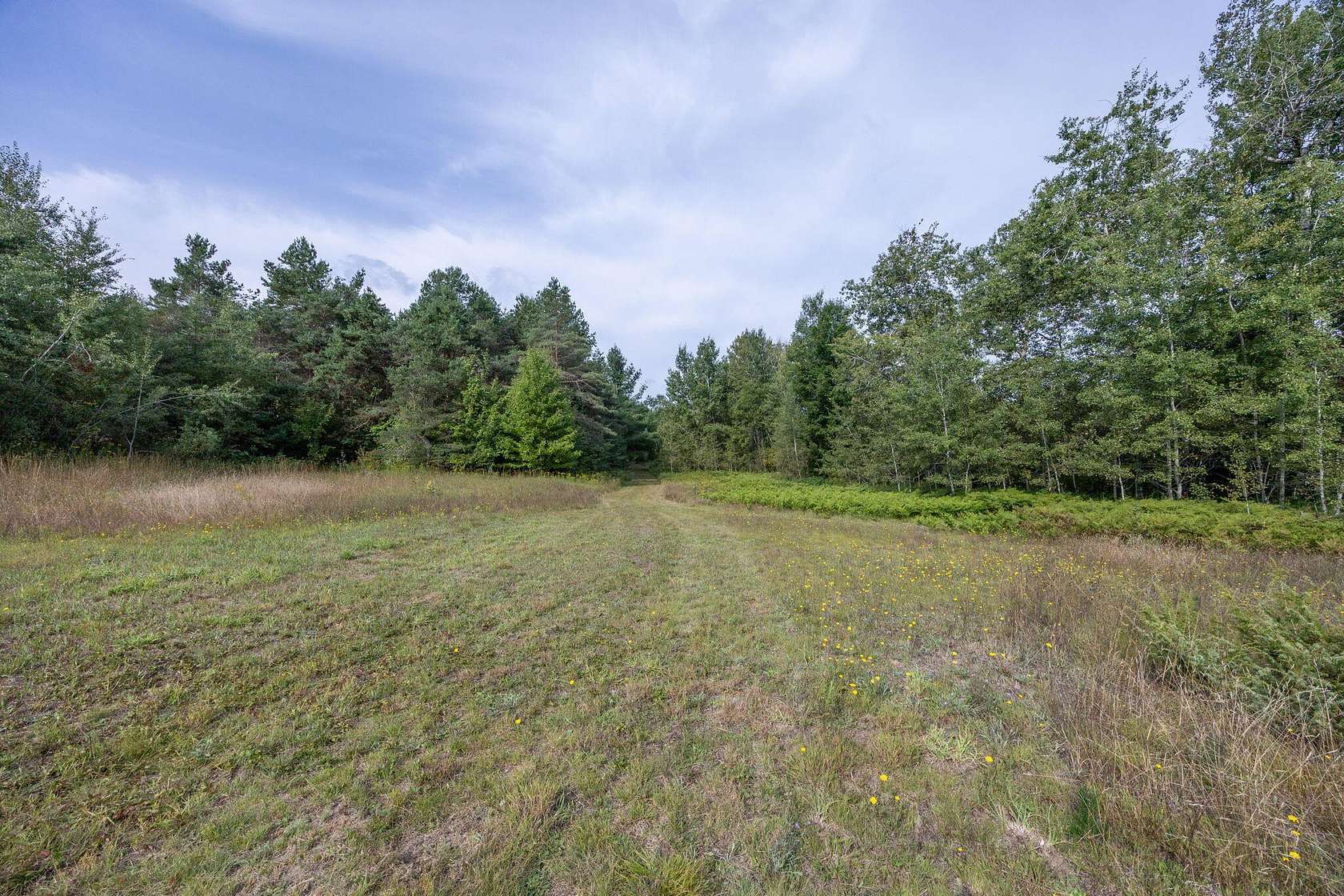 12.8 Acres of Land for Sale in Cadillac, Michigan