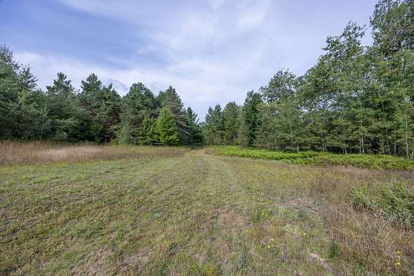 12.8 Acres of Land for Sale in Cadillac, Michigan