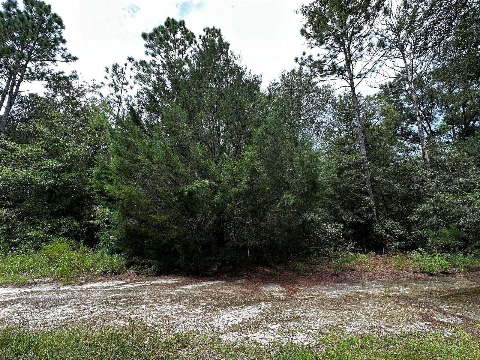 0.23 Acres of Residential Land for Sale in Williston, Florida
