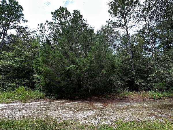 0.23 Acres of Residential Land for Sale in Williston, Florida