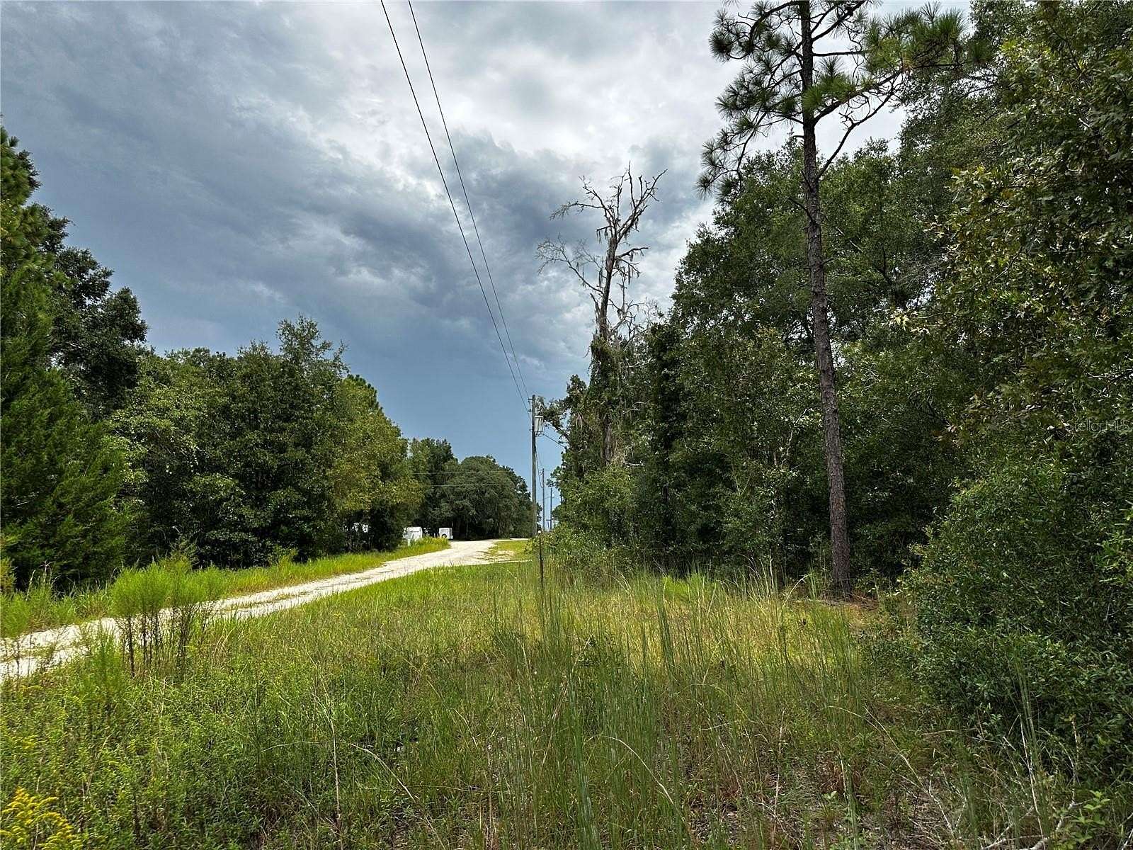0.23 Acres of Residential Land for Sale in Williston, Florida