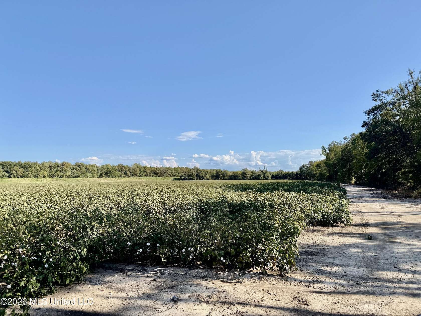 28.1 Acres of Land for Sale in Batesville, Mississippi