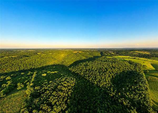 113 Acres of Recreational & Residential Land for Sale in Omaha, Arkansas
