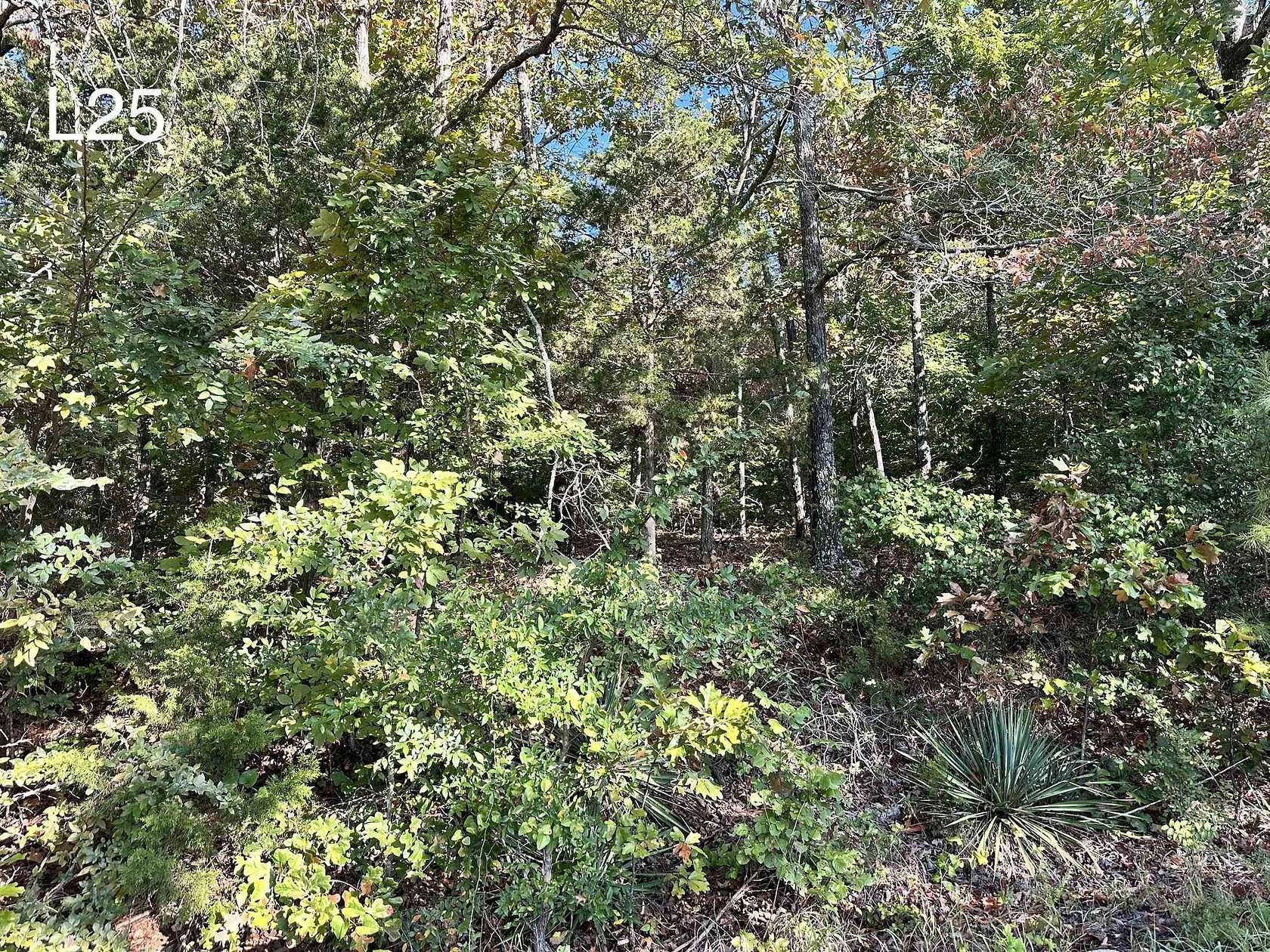 0.56 Acres of Residential Land for Sale in Cherokee Village, Arkansas