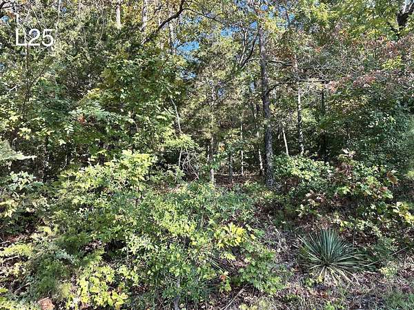 0.56 Acres of Residential Land for Sale in Cherokee Village, Arkansas