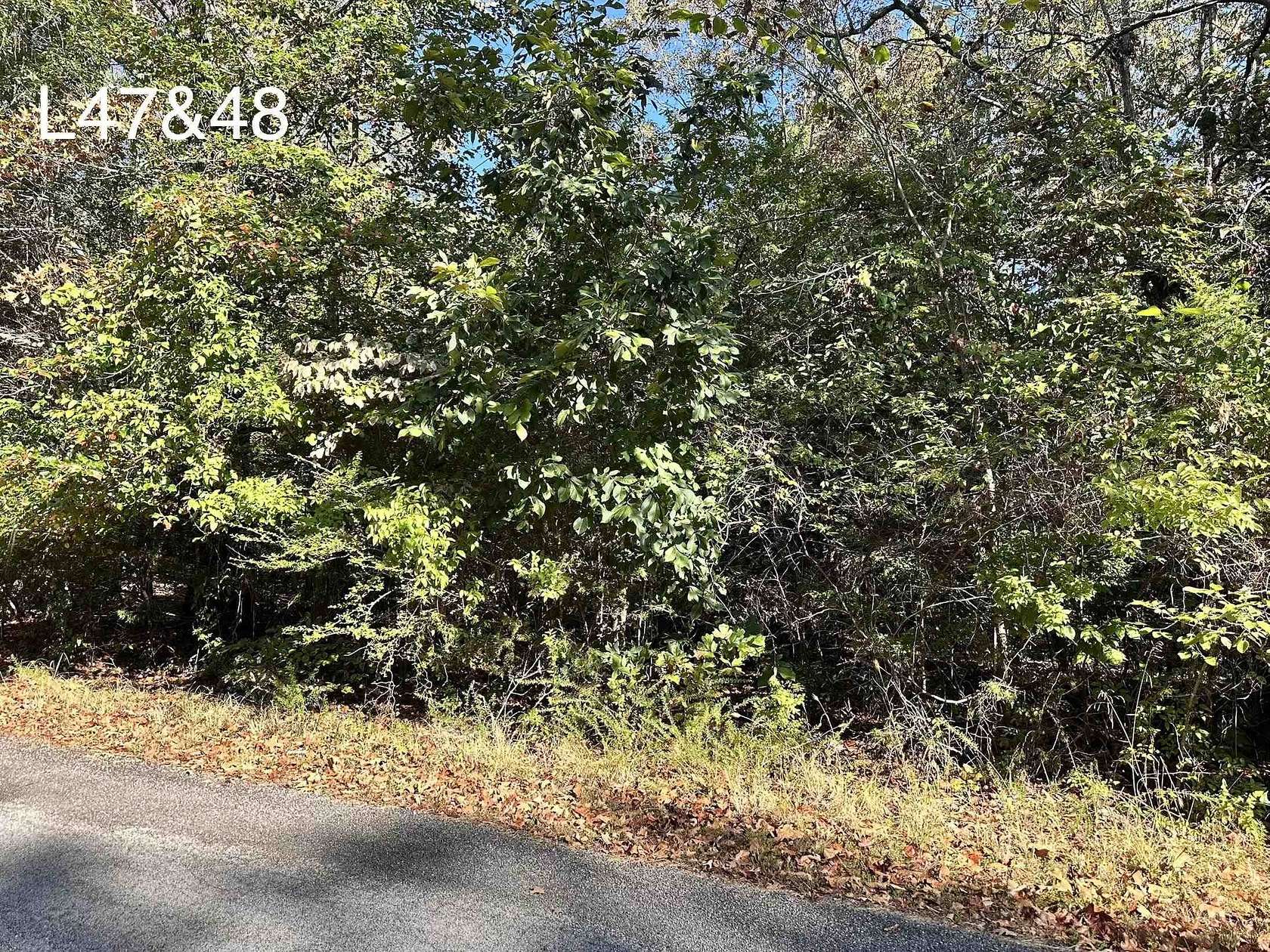 0.74 Acres of Residential Land for Sale in Cherokee Village, Arkansas