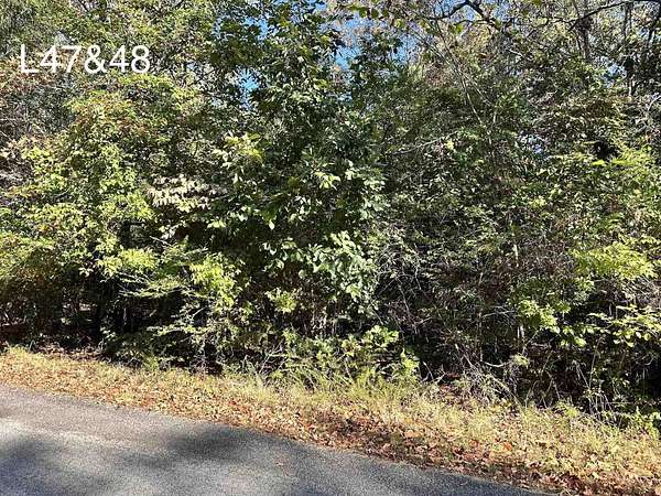 0.74 Acres of Residential Land for Sale in Cherokee Village, Arkansas