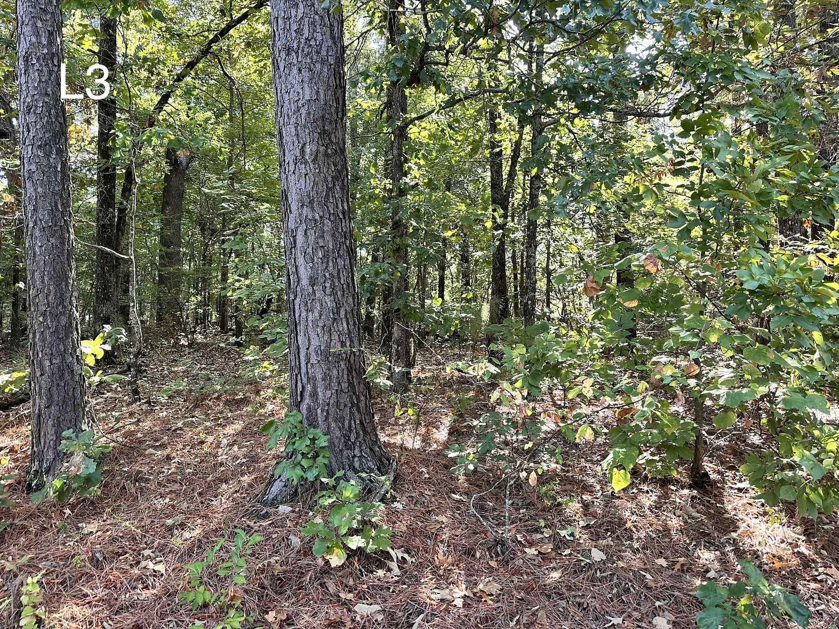 0.31 Acres of Residential Land for Sale in Cherokee Village, Arkansas