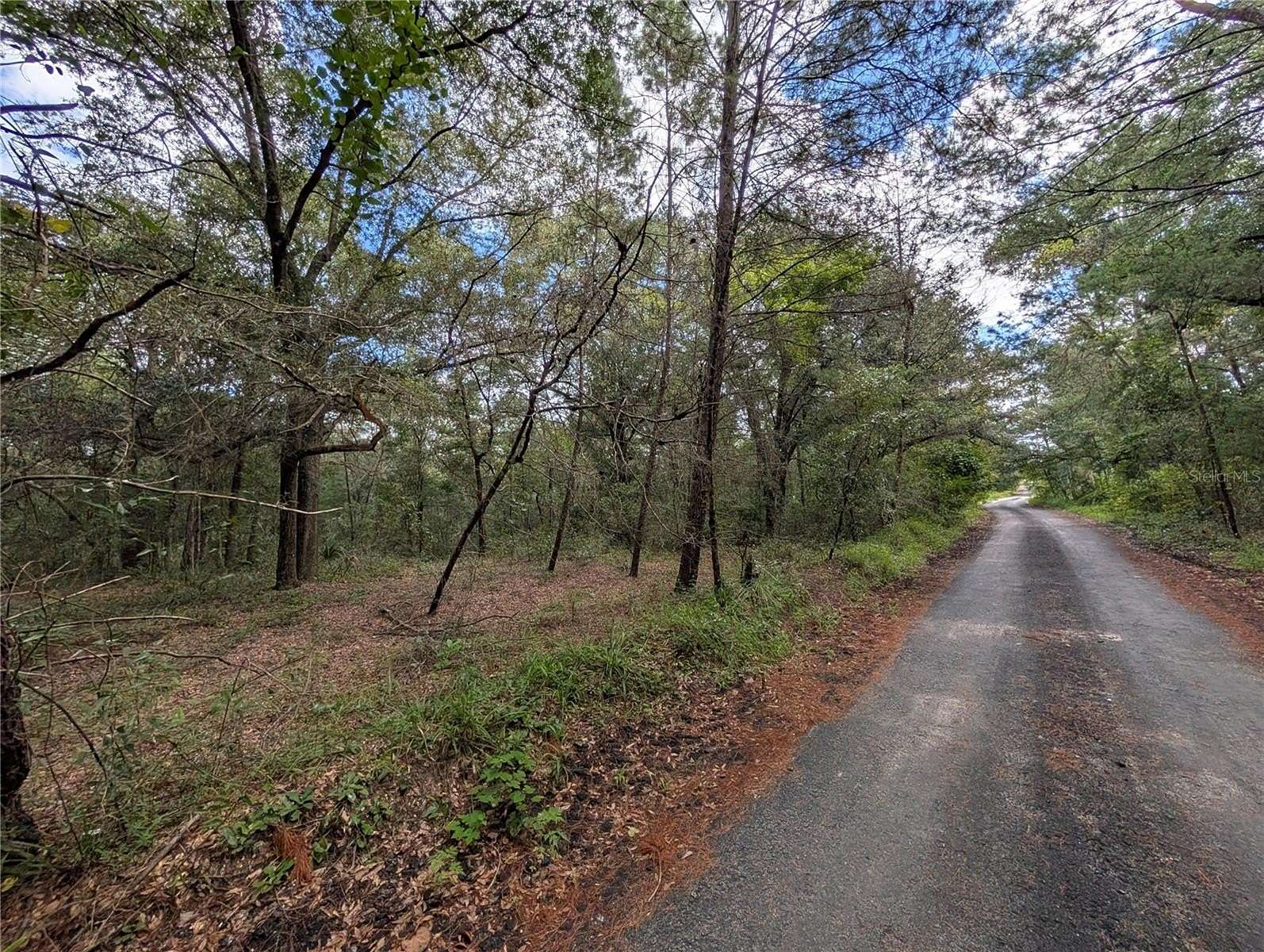1 Acre of Residential Land for Sale in Pomona Park, Florida
