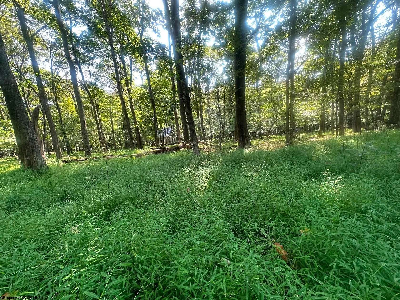 0.37 Acres of Residential Land for Sale in Terra Alta, West Virginia