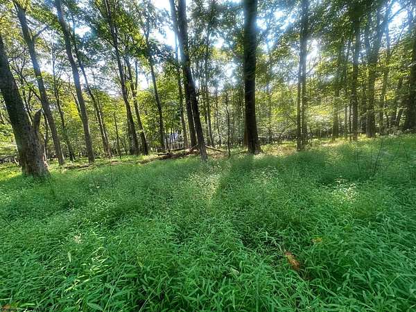 0.37 Acres of Residential Land for Sale in Terra Alta, West Virginia