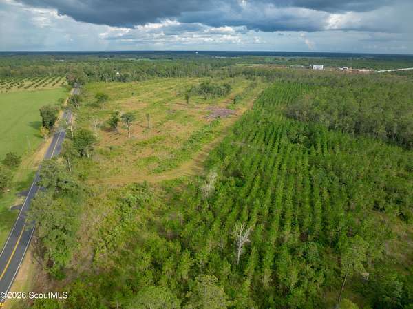 80.1 Acres of Land for Sale in Waycross, Georgia