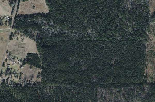 40.1 Acres of Recreational & Residential Land for Sale in Plain Dealing, Louisiana