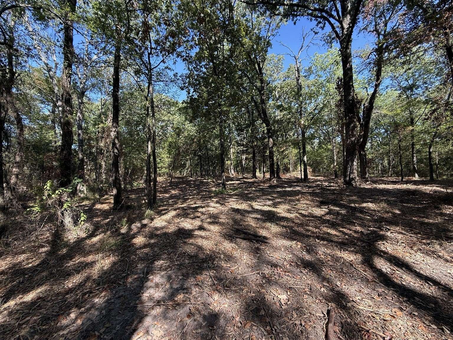 1.5 Acres of Land for Sale in Lone Oak, Texas