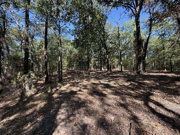 1.5 Acres of Land for Sale in Lone Oak, Texas