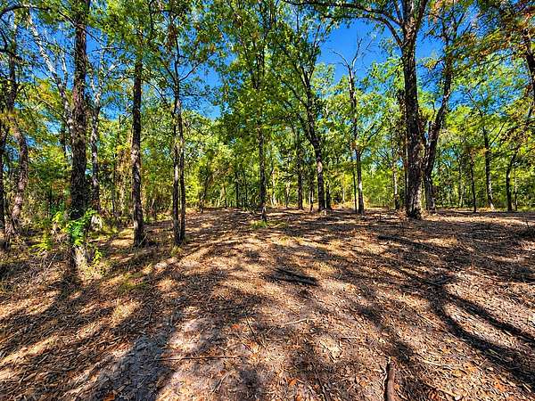 1.5 Acres of Residential Land for Sale in Lone Oak, Texas