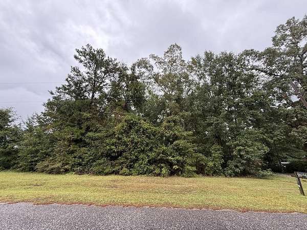0.45 Acres of Residential Land for Sale in Abbeville, Alabama
