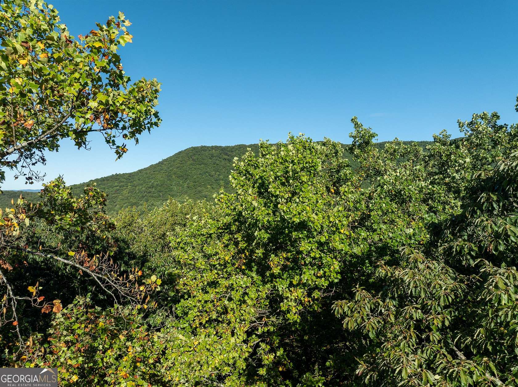 5.1 Acres of Residential Land for Sale in Ellijay, Georgia