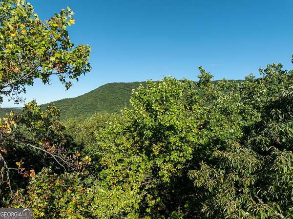 5.1 Acres of Residential Land for Sale in Ellijay, Georgia