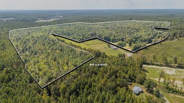 75.7 Acres of Recreational Land for Sale in Adamsville, Tennessee