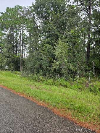 1 Acre of Residential Land for Sale in Hernando, Florida