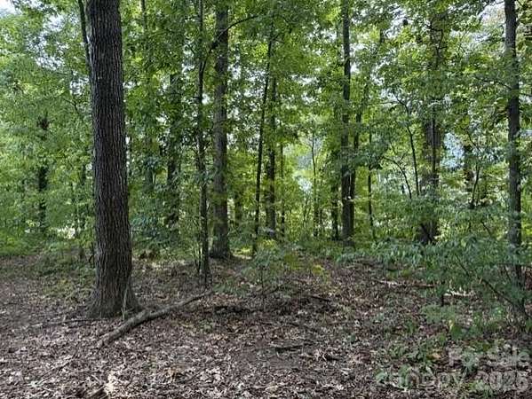 1 Acre of Residential Land for Sale in Conover, North Carolina