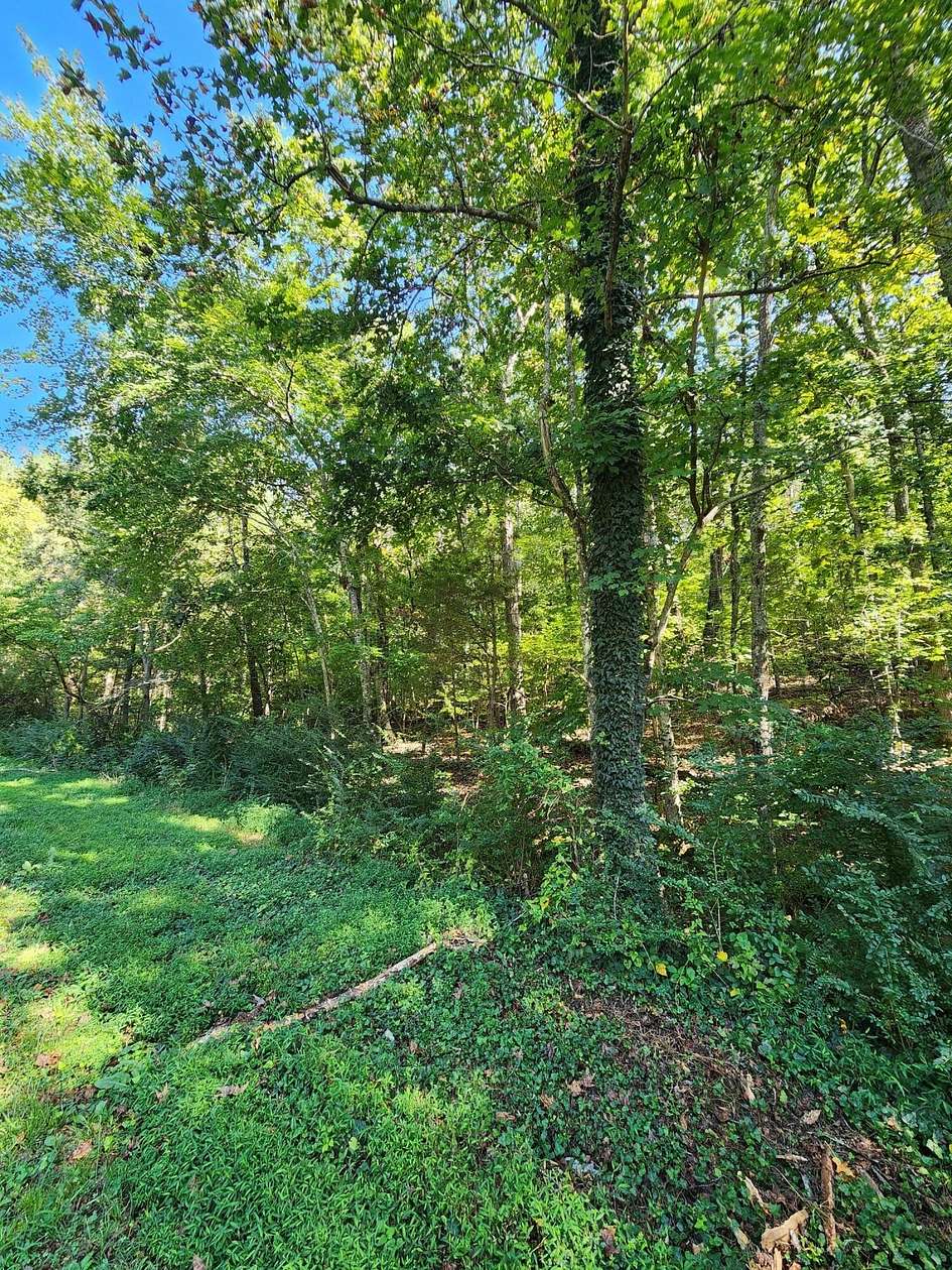 15 Acres of Land for Sale in Decatur, Tennessee