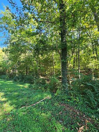 15 Acres of Land for Sale in Decatur, Tennessee