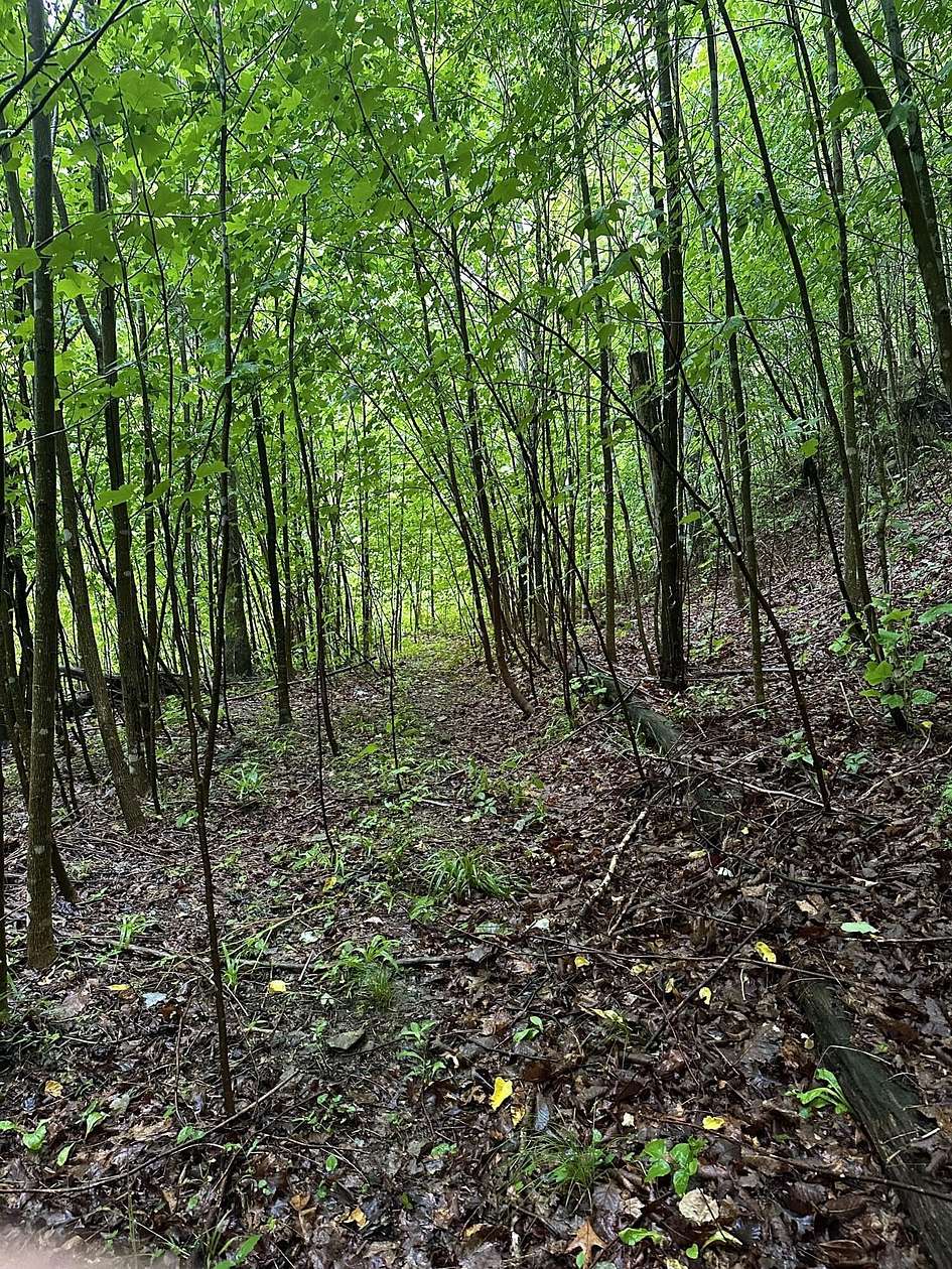 3 Acres of Land for Sale in Stanton, Kentucky