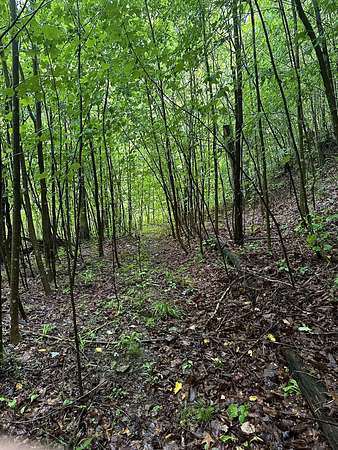 3 Acres of Land for Sale in Stanton, Kentucky
