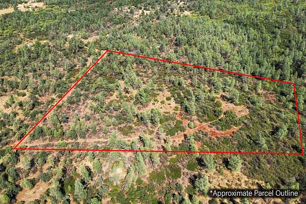 15.4 Acres of Land for Sale in Shingletown, California