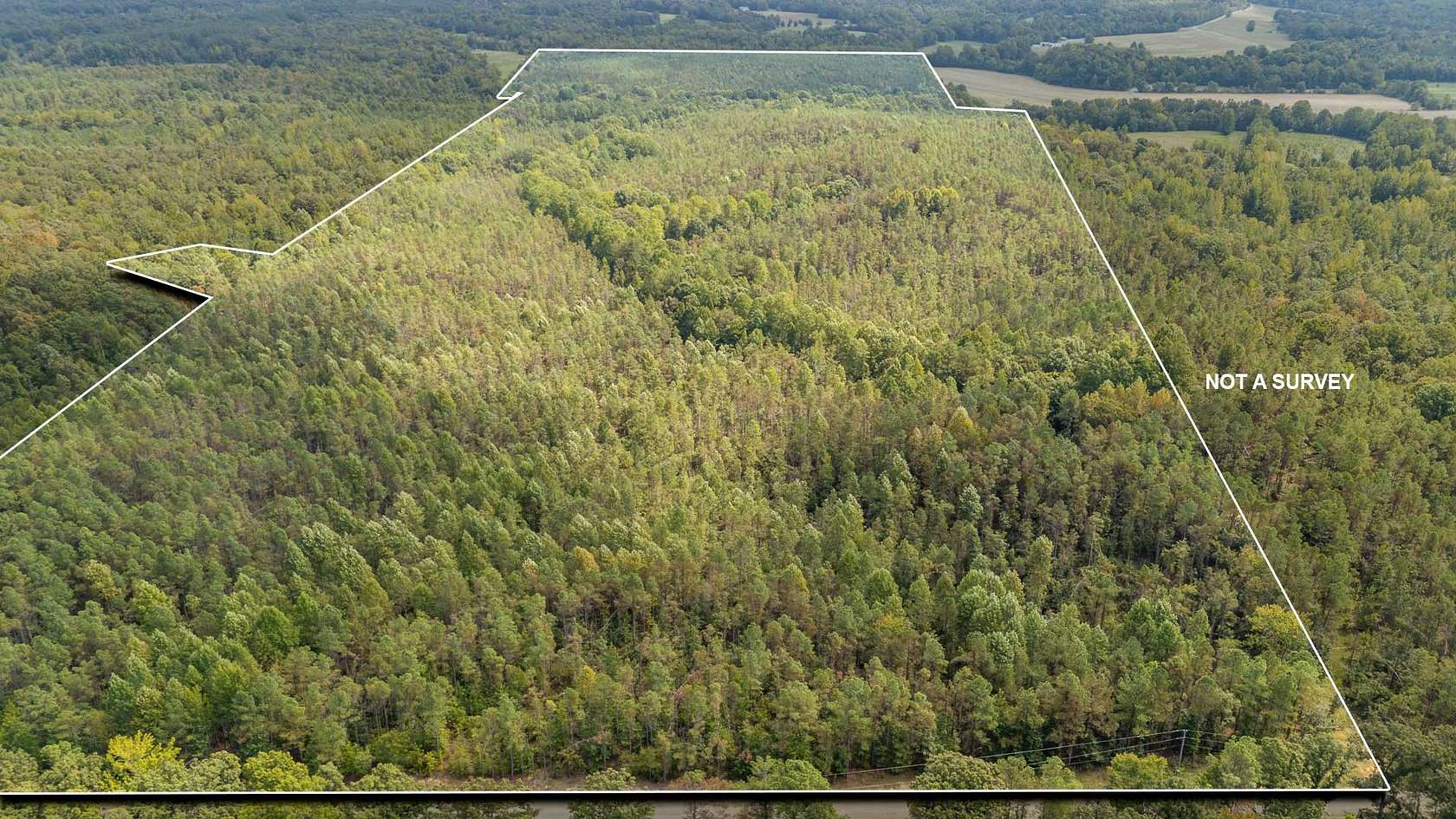 137 Acres of Recreational Land for Sale in Adamsville, Tennessee