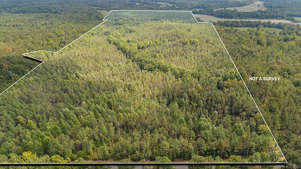 137 Acres of Recreational Land for Sale in Adamsville, Tennessee