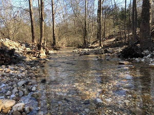 28.9 Acres of Recreational & Residential Land for Sale in Dickson, Tennessee