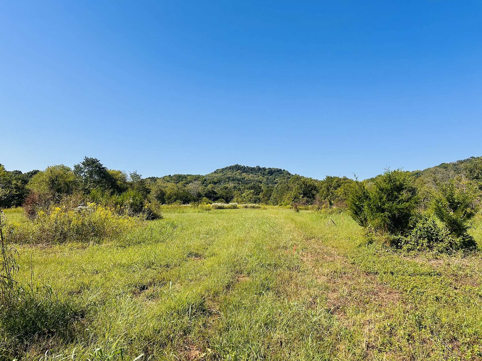 28.8 Acres of Recreational & Residential Land for Sale in Readyville, Tennessee