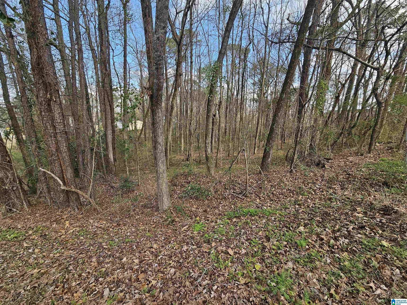 1.3 Acres of Residential Land for Sale in Pell City, Alabama