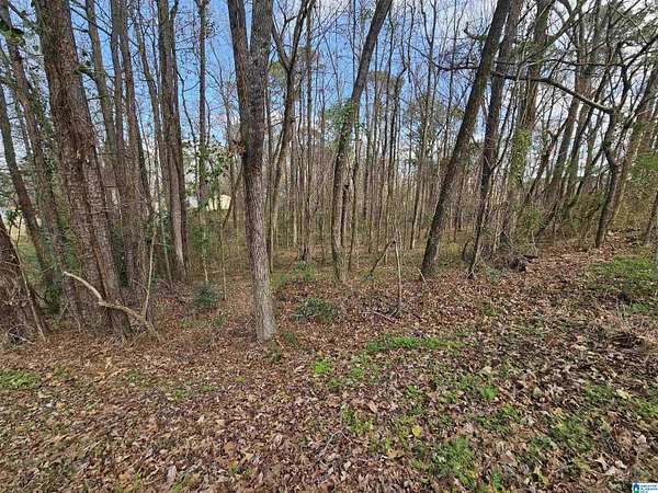 1.3 Acres of Residential Land for Sale in Pell City, Alabama
