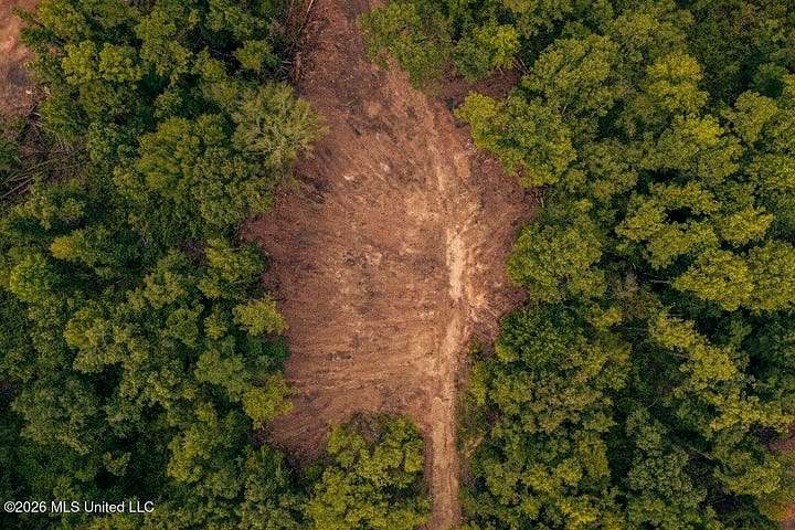 36 Acres of Land for Sale in Meadville, Mississippi