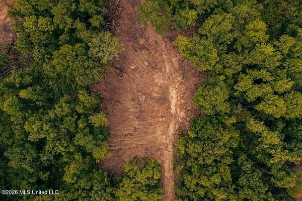 36 Acres of Land for Sale in Meadville, Mississippi