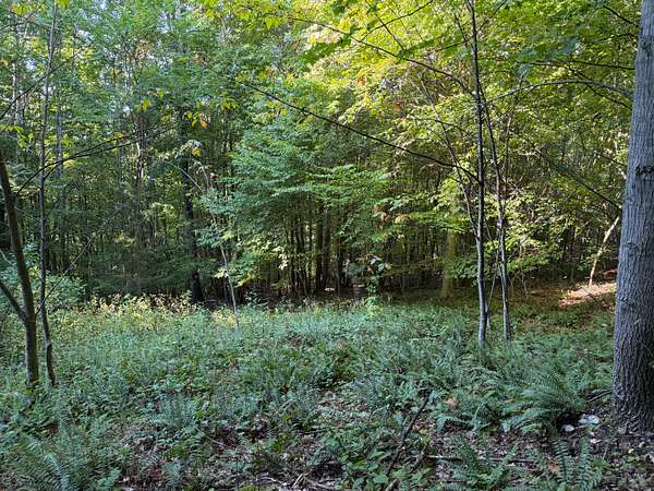 214 Acres of Land for Sale in Fort Blackmore, Virginia