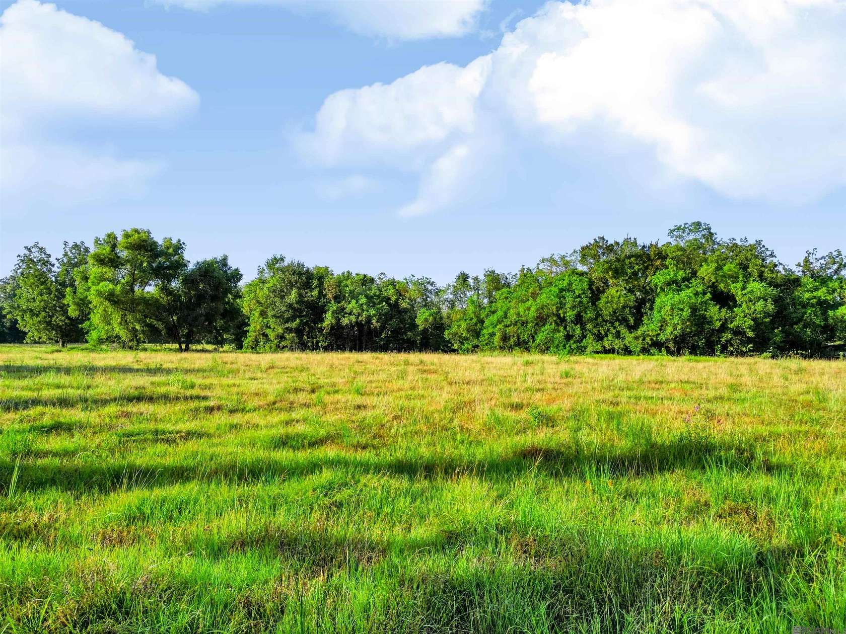 1.63 Acres of Residential Land for Sale in Geismar, Louisiana