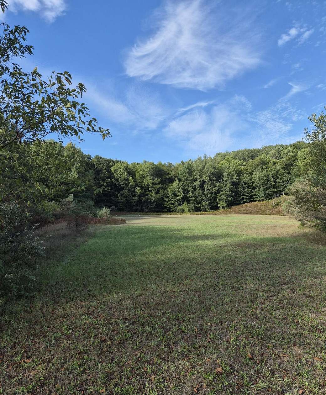 10 Acres of Land for Sale in Kaleva, Michigan